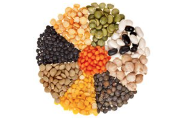Legumes Feed the World