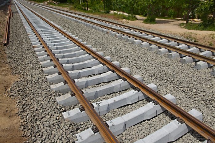 Building LA to SF Railway Was Halted by the secretary of transportation, Elaine Chao