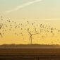 Wind power and environmental cost