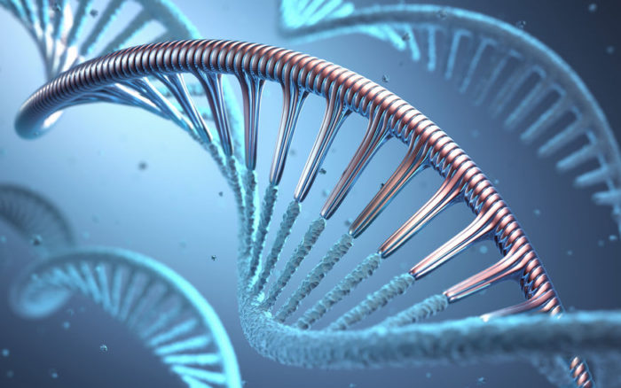 Synthetic Biology - genetic modification