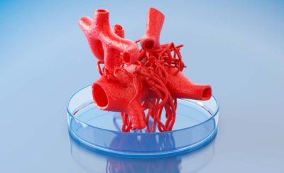 3d bioprinting of tissues and organs