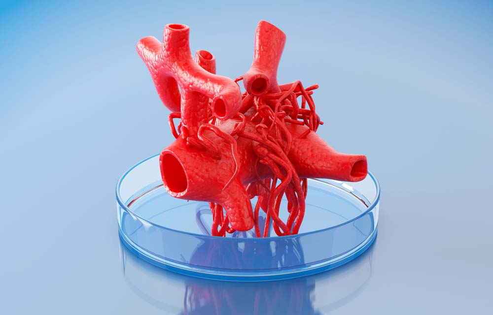 Printing Life, Capillaries Made with 3D Printers