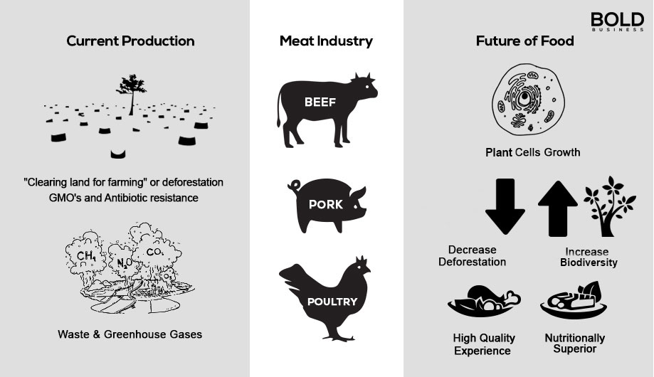 a chart demonstrating the effects of factory farming versus plant based protein