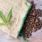 Coffee beans and marijuana leaf