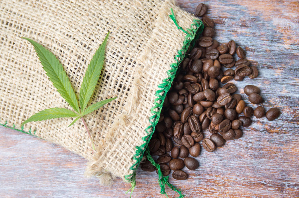 Cannabis Infused Coffee: New Marijuana Product is Brewing
