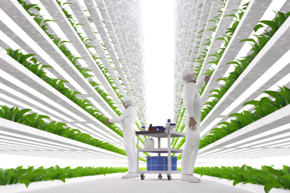 Driverless Farm Equipment & Vertical Planting - Farm Progress Show 2017