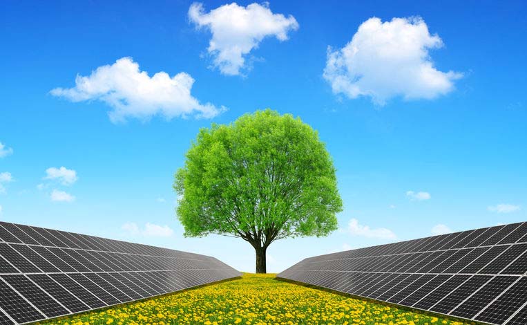 Tree, blue sky, and solar panels represent clean energy