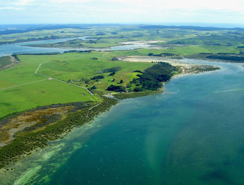 Aerial view of seaside farm in New Zealand.