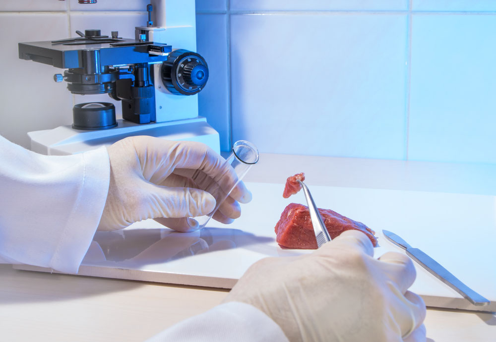 Scientist testing meat in lab.