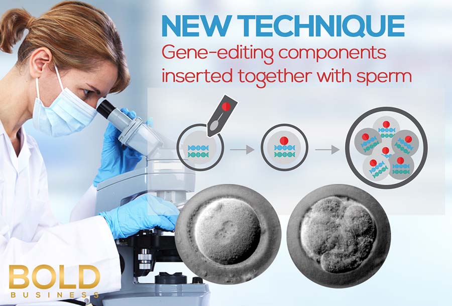 a photo of a simple diagram in connection to DNA editing of human embryos beside an image of a blue-gloved and laboratory coat-wearing doctor who's looking through a microscope 