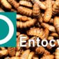 Larvae and Entocycle Logo