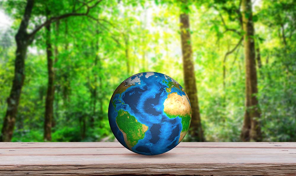 a photo of an Earth globe on a picnic table in a forest amid the rising trend of Big Oil investments in renewable energy