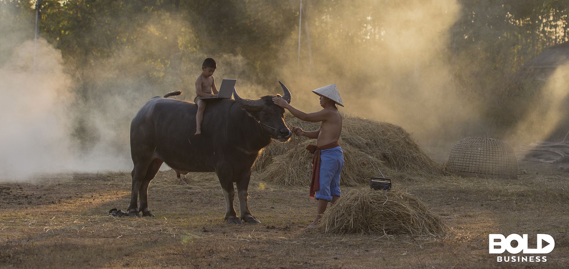 Asian boy on oxen back using a laptop - digital divide growing
