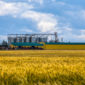 Russian wheat field.