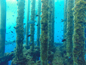 Oil platform underwater