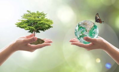 two hands, one holding a tree, the other a crystal globe and butterfly