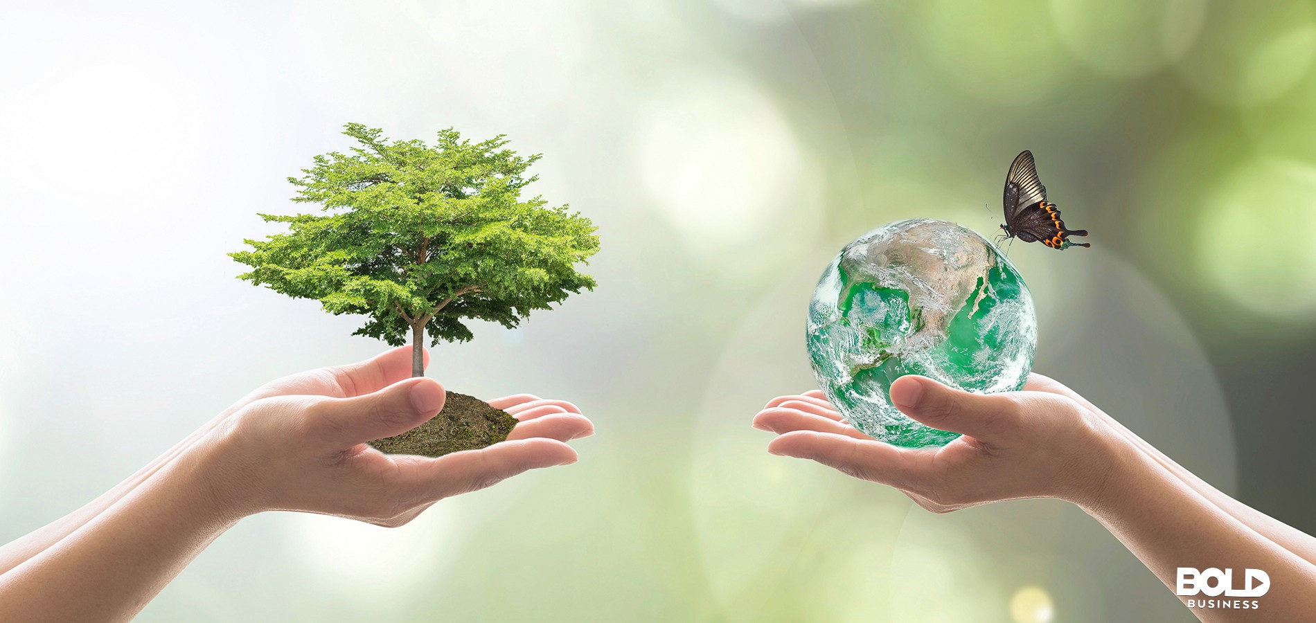 two hands, one holding a tree, the other a crystal globe and butterfly