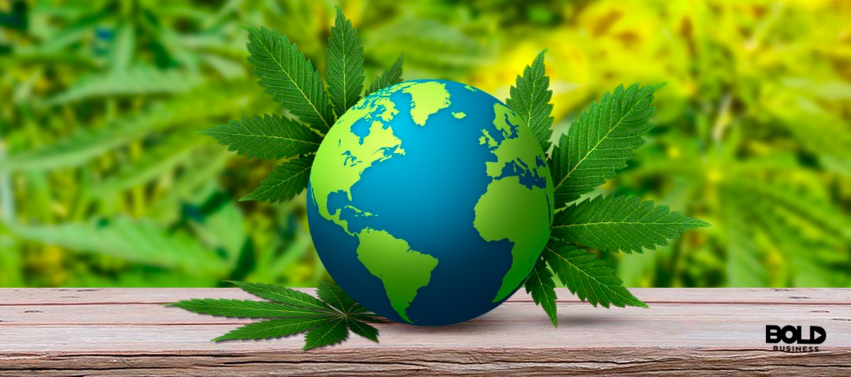 a globe wrapped in marijuana leaves against a cannabis leaf background, symbolizes companies that produce medical marijuana