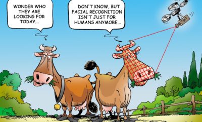 a cartoon of the cattle facial recognition technology.