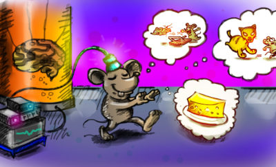 a cartoon of a lab mouse envisioning cheese and cats with the use of memory implantation technology