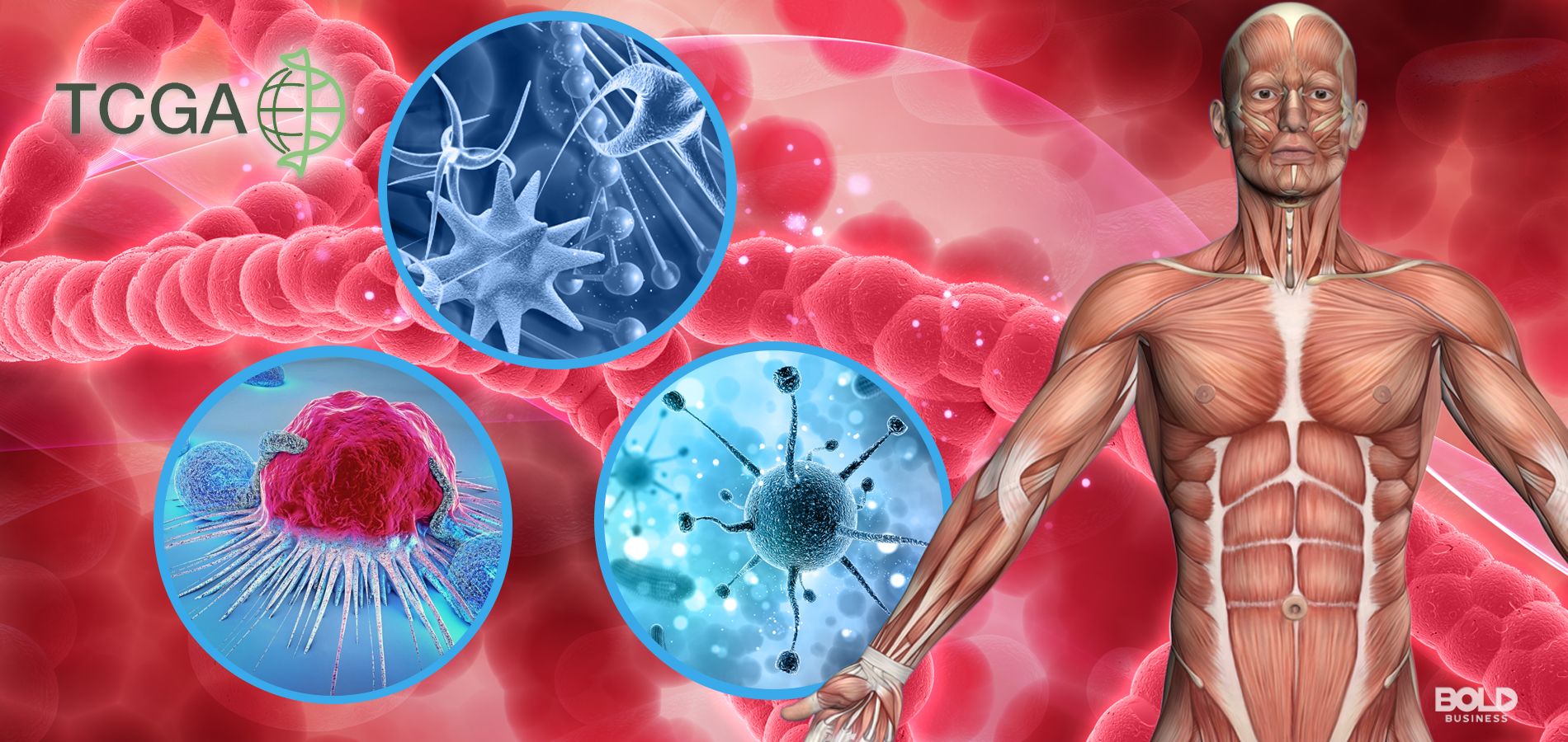 Exploring the Immune Landscape of Cancer