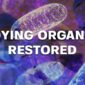 restoration of Dying cells