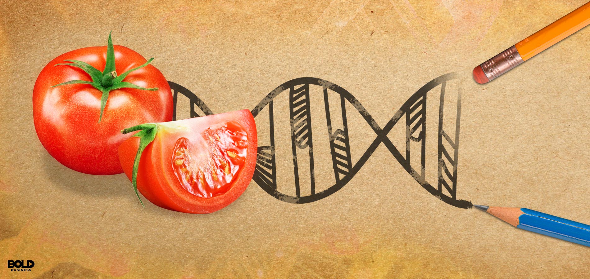 gene editing in agriculture with tomato