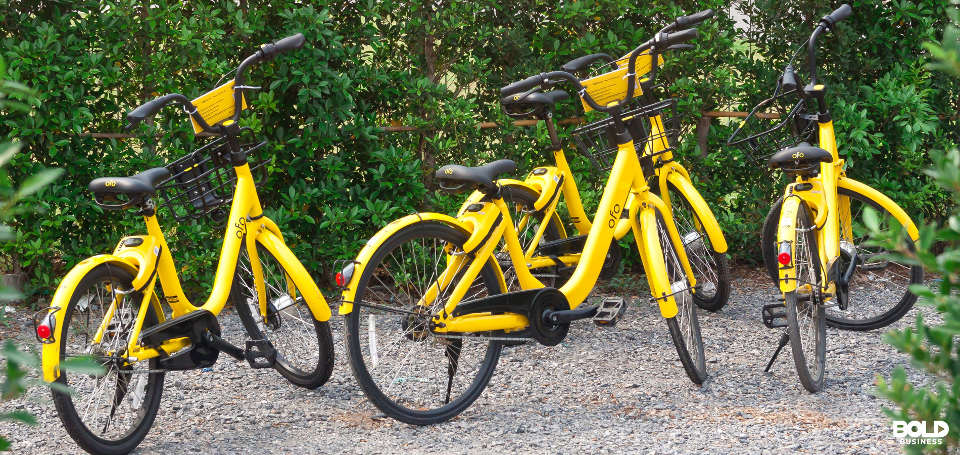 Dockless Bike Share Dockless Bike Share Trend
