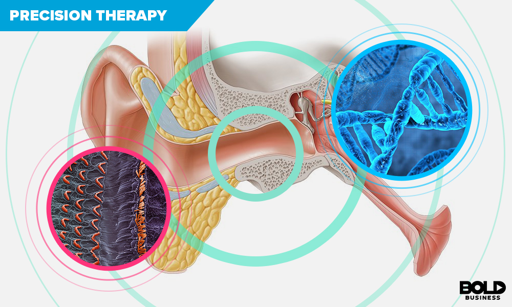 Companies Treating Hearing Loss Treatment like Akouos