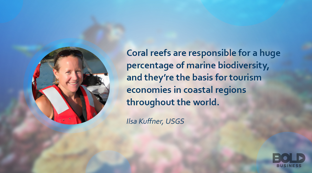 Quote from Ilsa B. Kuffner, Ph.D. Research Marine Biologist Ilsa Kuffner discusses Great Barrier reef dying