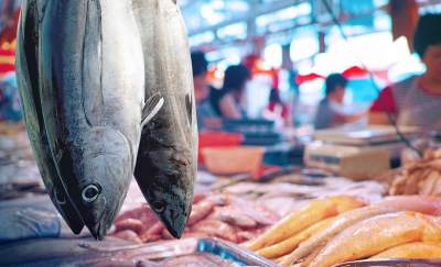 a photo of a couple of fresh fish hanging from a wet market stall in front of a background of market sellers busy with selling their fish amid the rise of aquaculture and fisheries