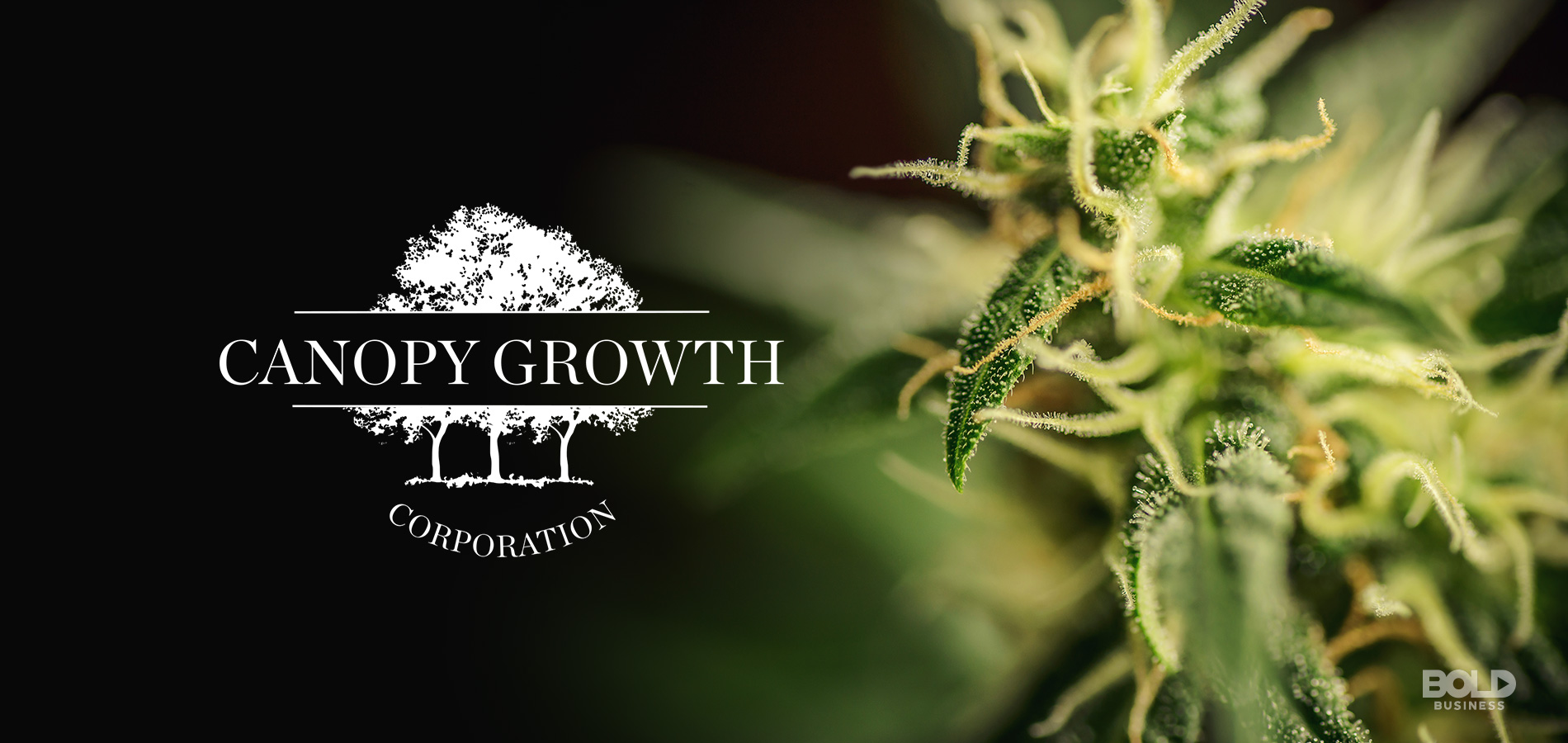 a photo of Canopy Growth Corp. full company name beside an image of a cannabis plant