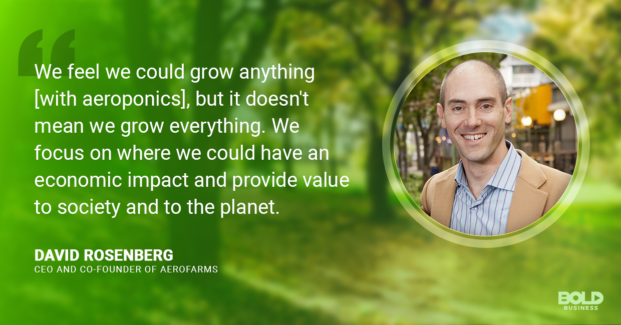 a photo quote of David Rosenberg amid discussions on the sustainable growing agriculture method that is the aeroponics growing system