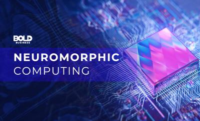 Neuromorphic Computing and Brain Chips— Neuromedicine Innovation or Pandora’s Box?