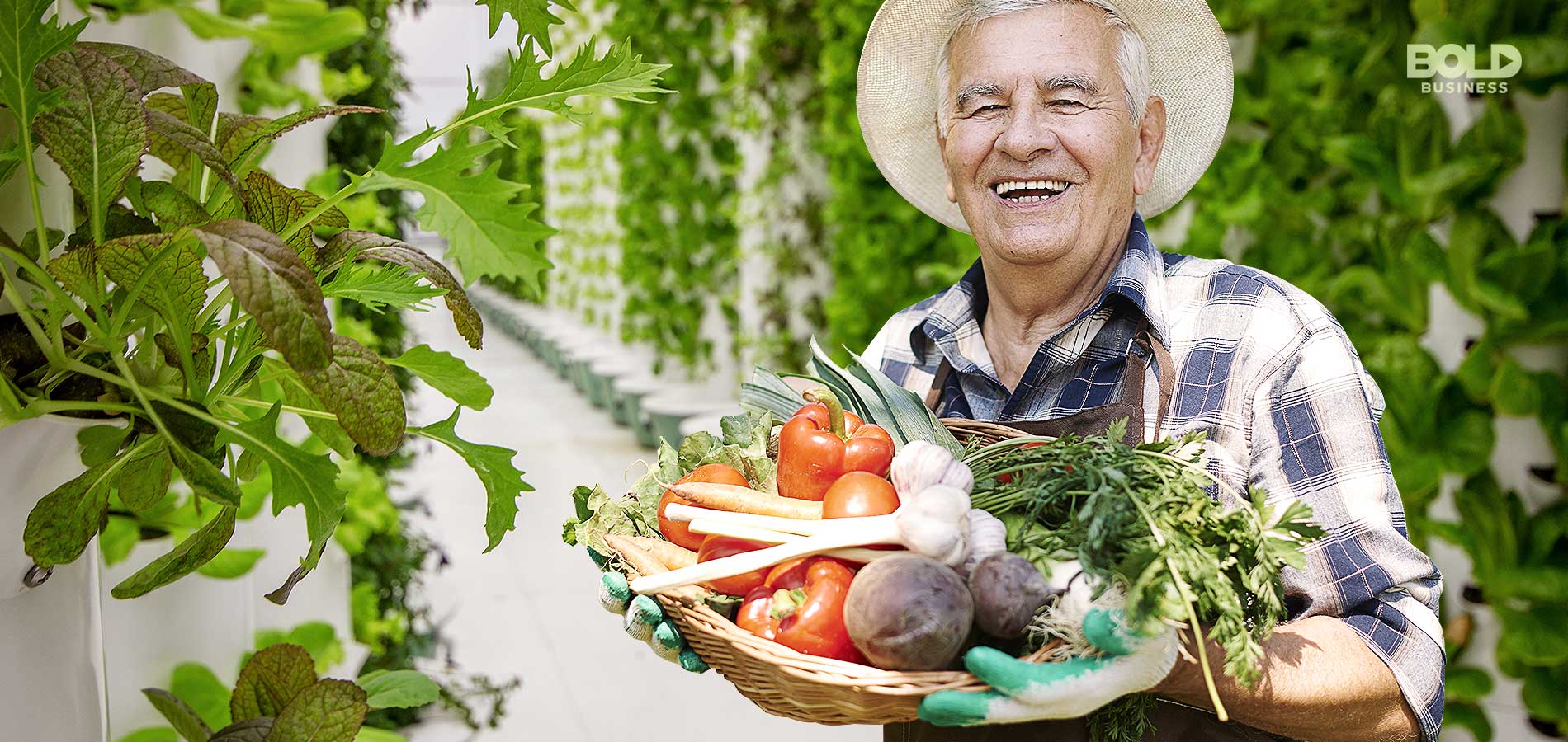 a photo of a farmer holding a basketful of fresh vegetables while standing in a hall of plants grown with the aeroponics growing system
