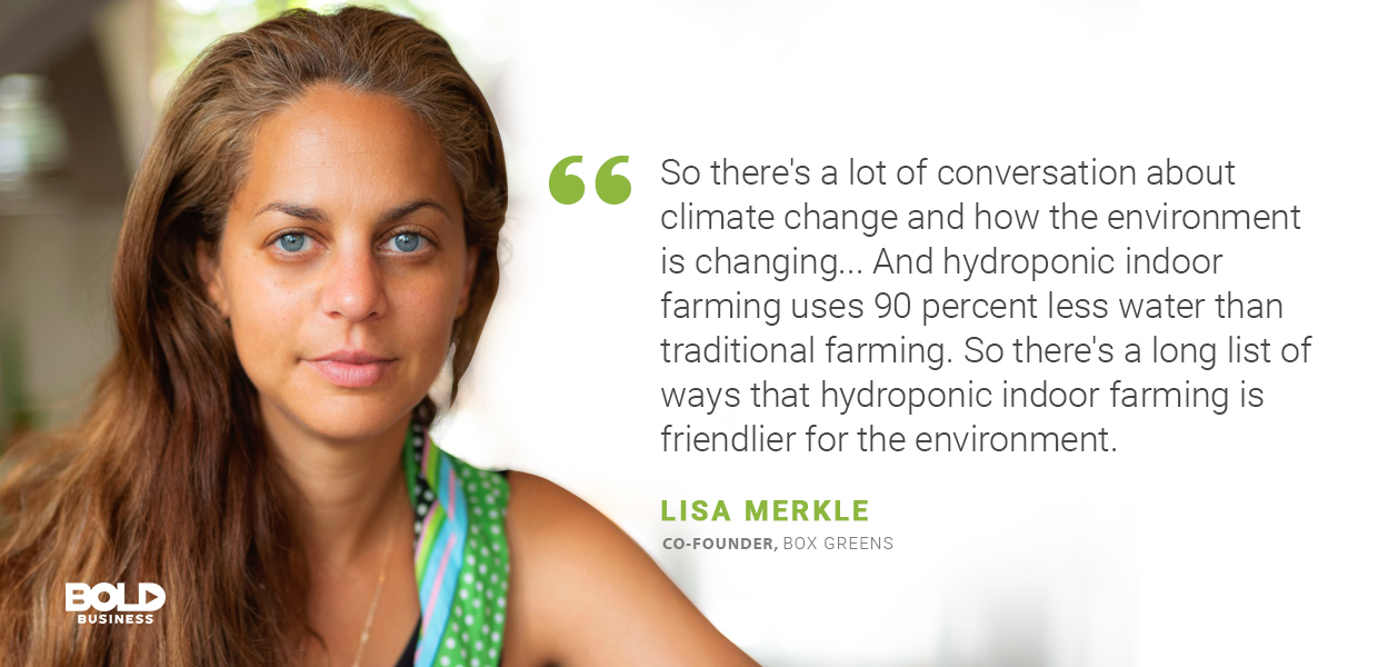 Lisa Merkle talking about Box Greens