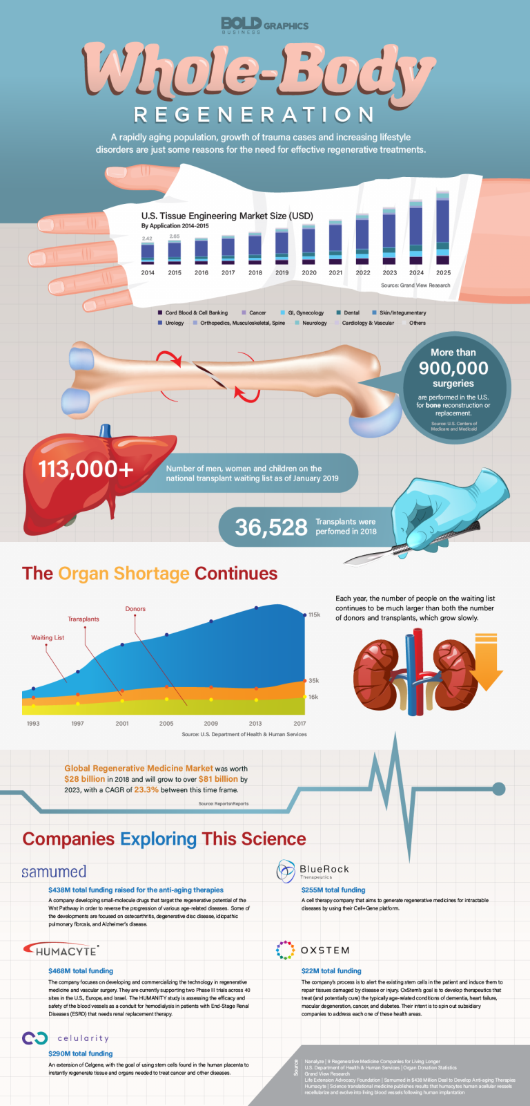 Human Cell Regeneration & Companies for WholeBody Regeneration