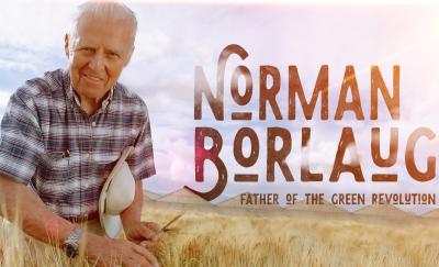 a photo of Norman Borlaug posing in a wheat field in connection to the phenomenon that is Norman Borlaug and the Green Revolution