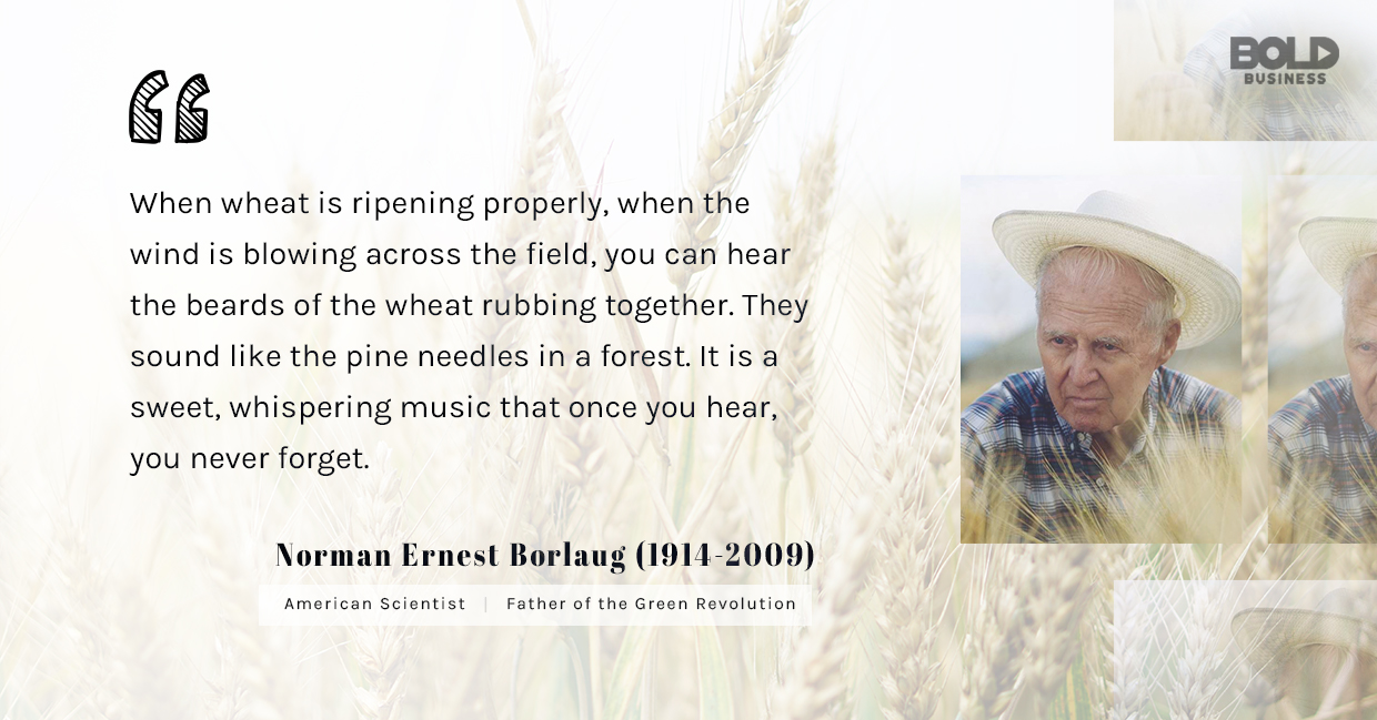 a photo quote of Norman Ernest Borlaug in relation to the topic of Norman Borlaug and the Green Revolution