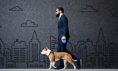 a photo of a man in a business suit walking his dog alongside a wall with a background of an etched city in gray amid the growth of the pet industry