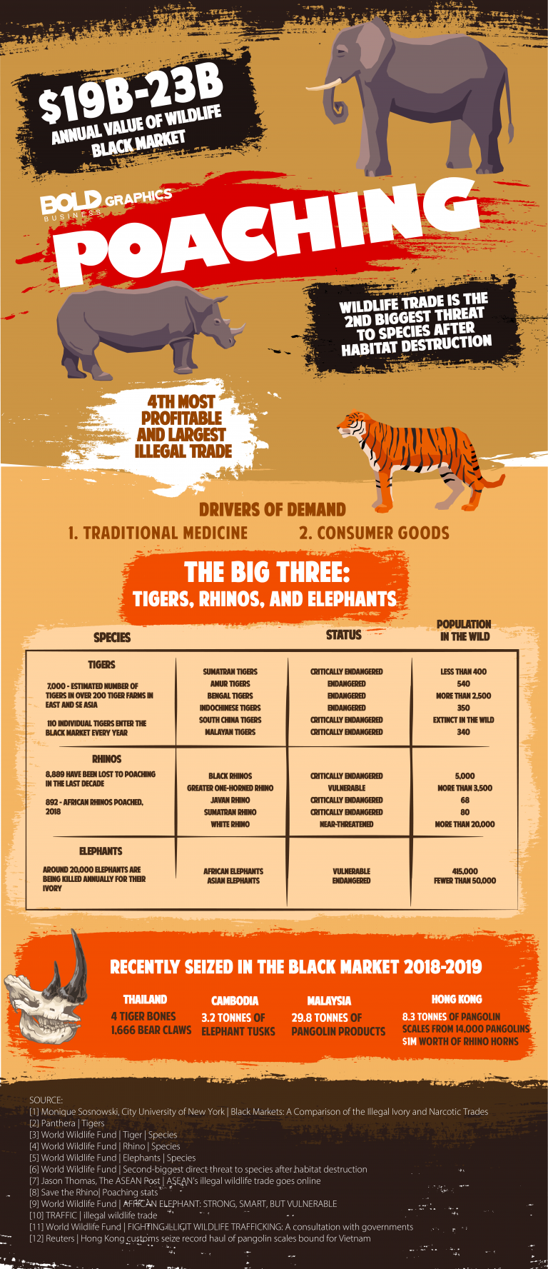 Fighting Poaching Infographic — Here Are Some Statistics About Poaching