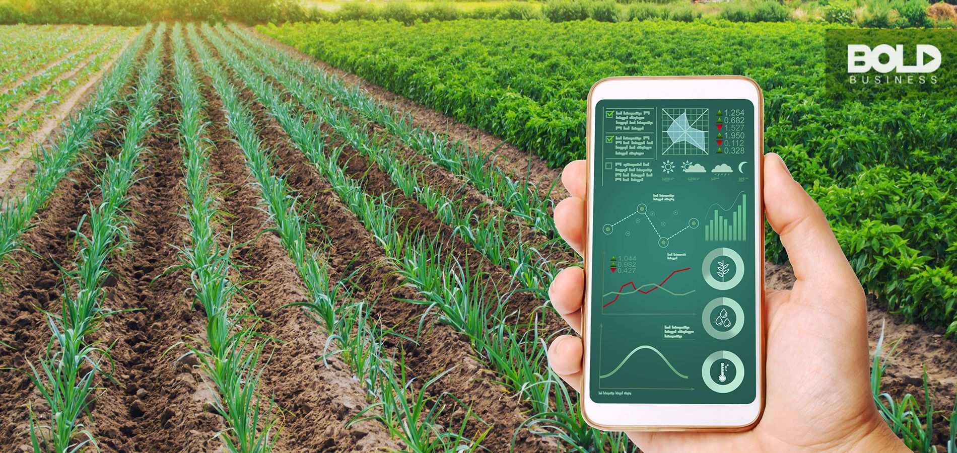 Someone holding an ag-tech app over a field