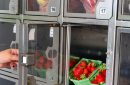 Someone getting some fruit from an automat