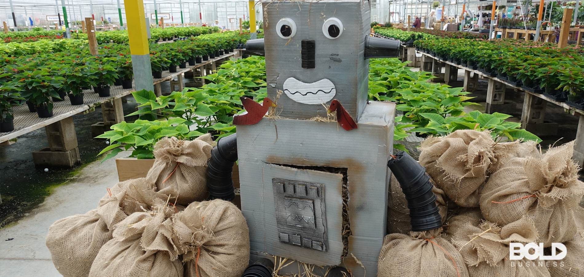 A poorly constructed robotic scarecrow