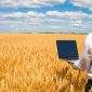 A dude using AI on his laptop to count wheat