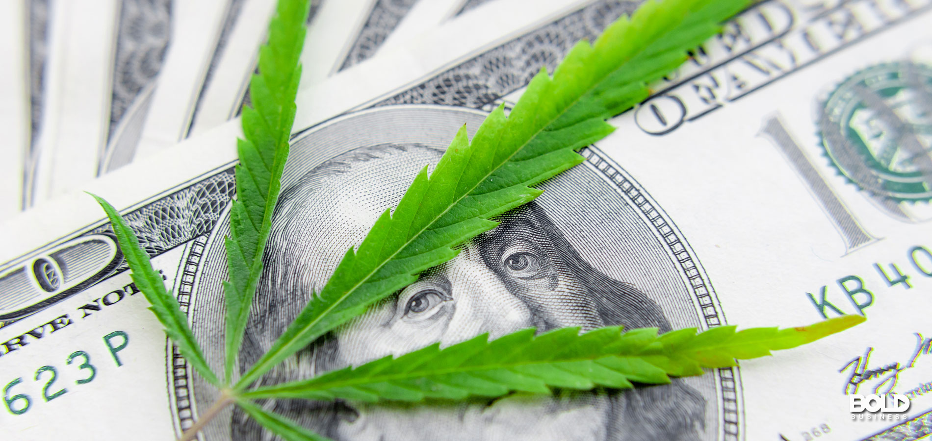 The Cannabis Revenue Stream