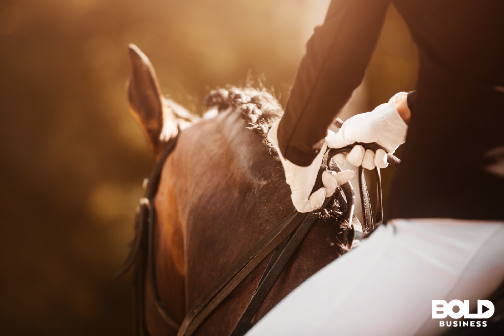 A horse getting ready to run wild