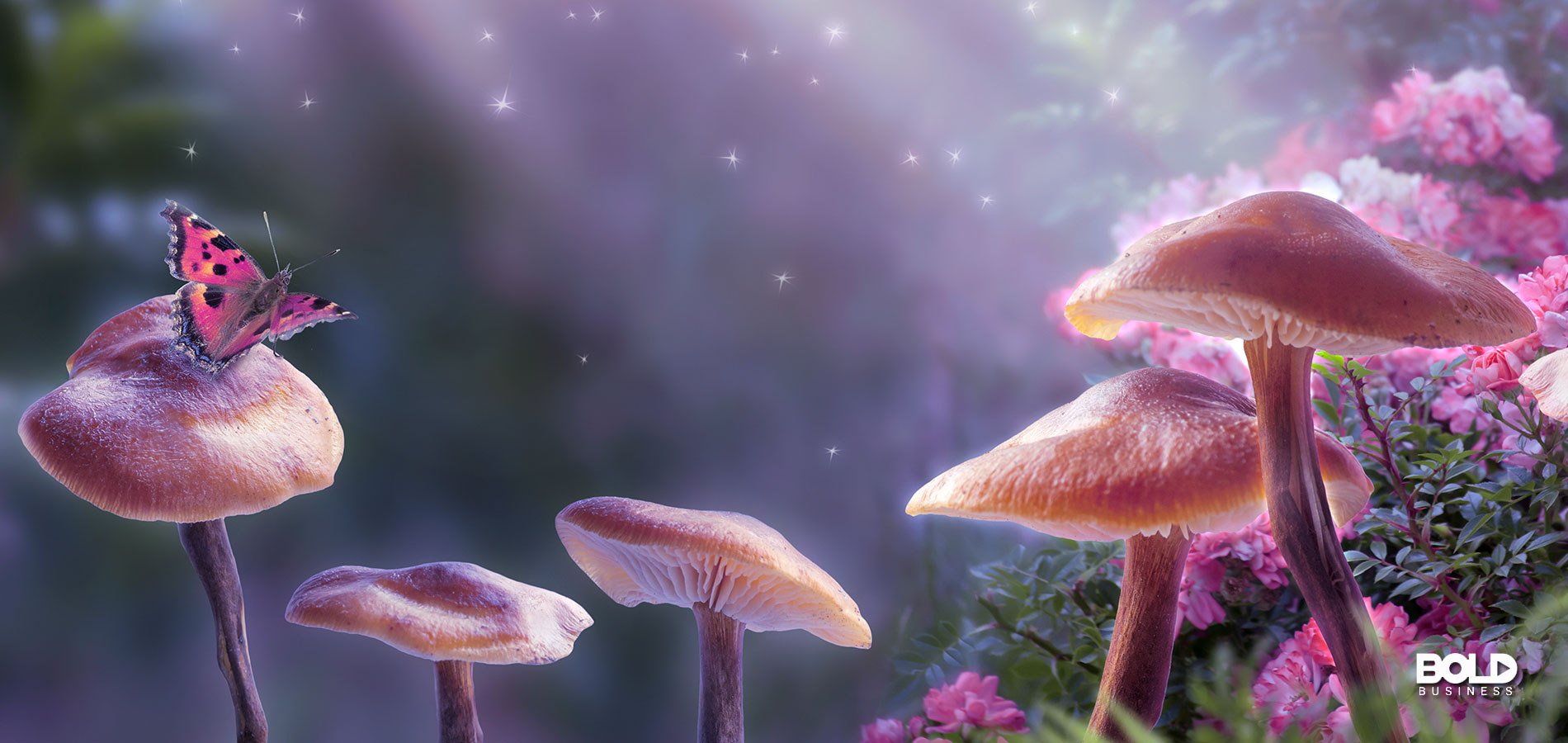 Some mushrooms, but the Smurfs remain hidden