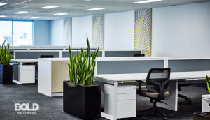 office building solutions include a plant and a chair