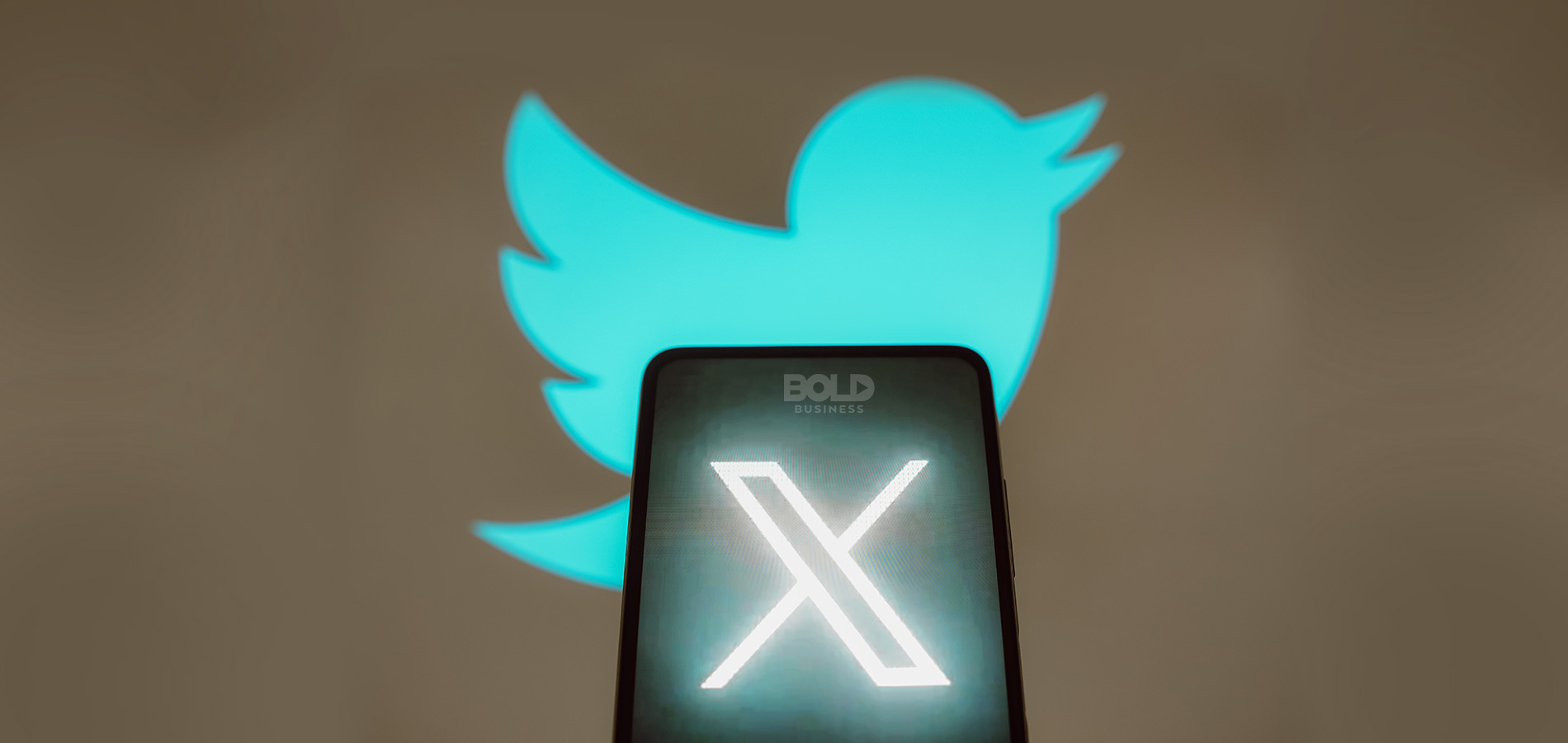 new X logo on top of Twitter bird